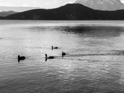 카지노 미다스 모바일 앱